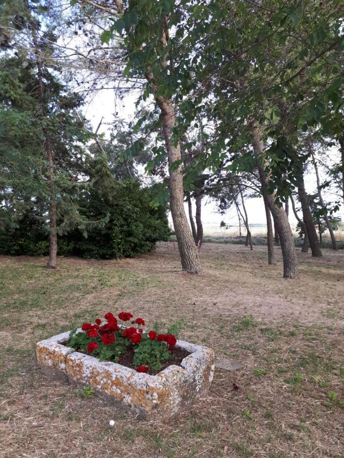 Il Casale Falagario Stacca Villa Altamura Kültér fotó